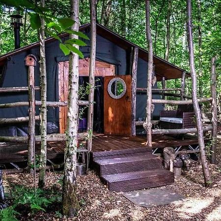 Cosy Woodland Romantic Retreat With Log Fires And Nature Sturry Eksteriør bilde