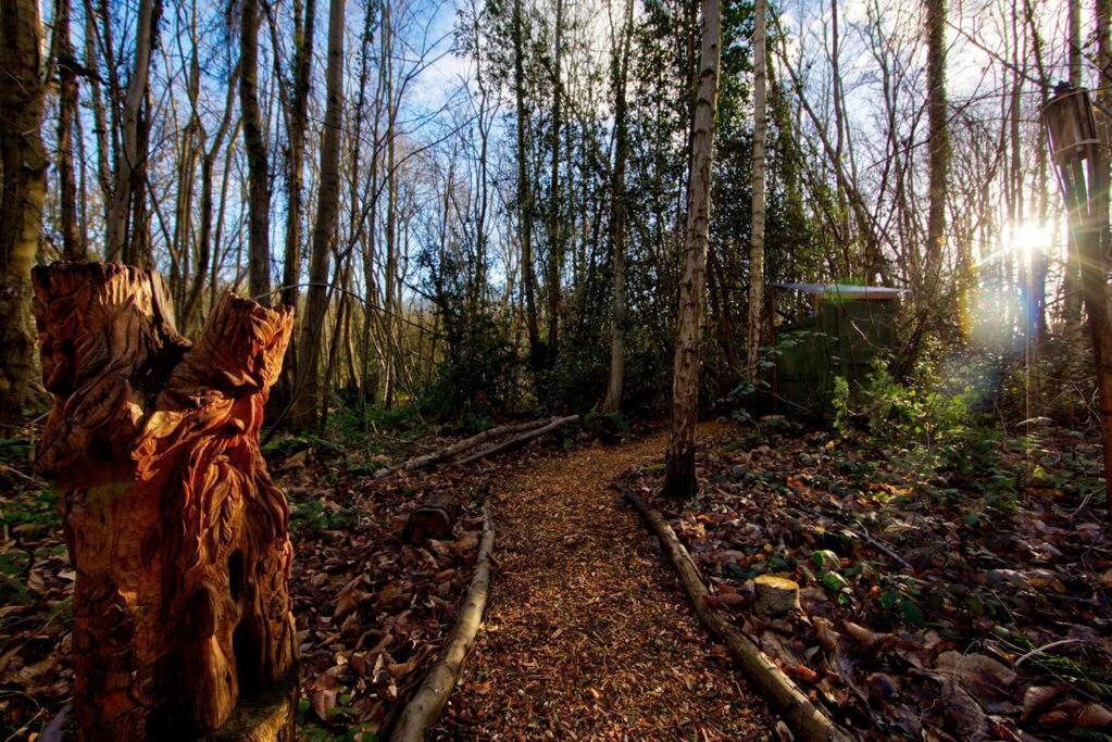 Cosy Woodland Romantic Retreat With Log Fires And Nature Sturry Eksteriør bilde