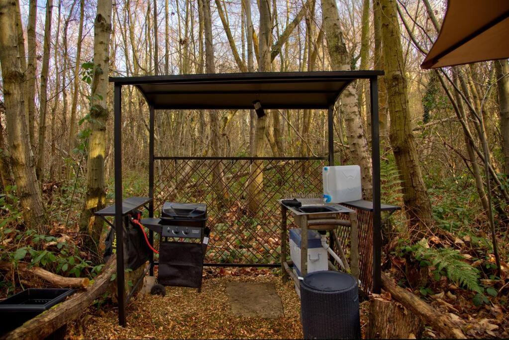 Cosy Woodland Romantic Retreat With Log Fires And Nature Sturry Eksteriør bilde