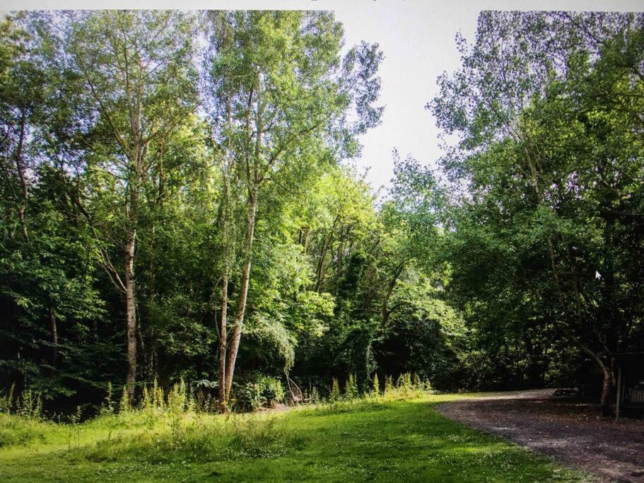 Cosy Woodland Romantic Retreat With Log Fires And Nature Sturry Eksteriør bilde