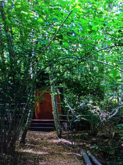 Cosy Woodland Romantic Retreat With Log Fires And Nature Sturry Eksteriør bilde