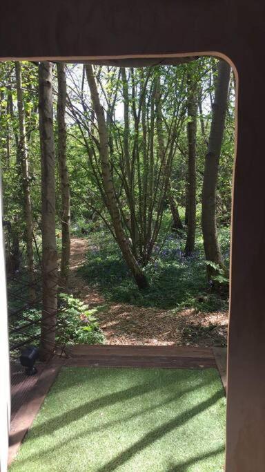 Cosy Woodland Romantic Retreat With Log Fires And Nature Sturry Eksteriør bilde