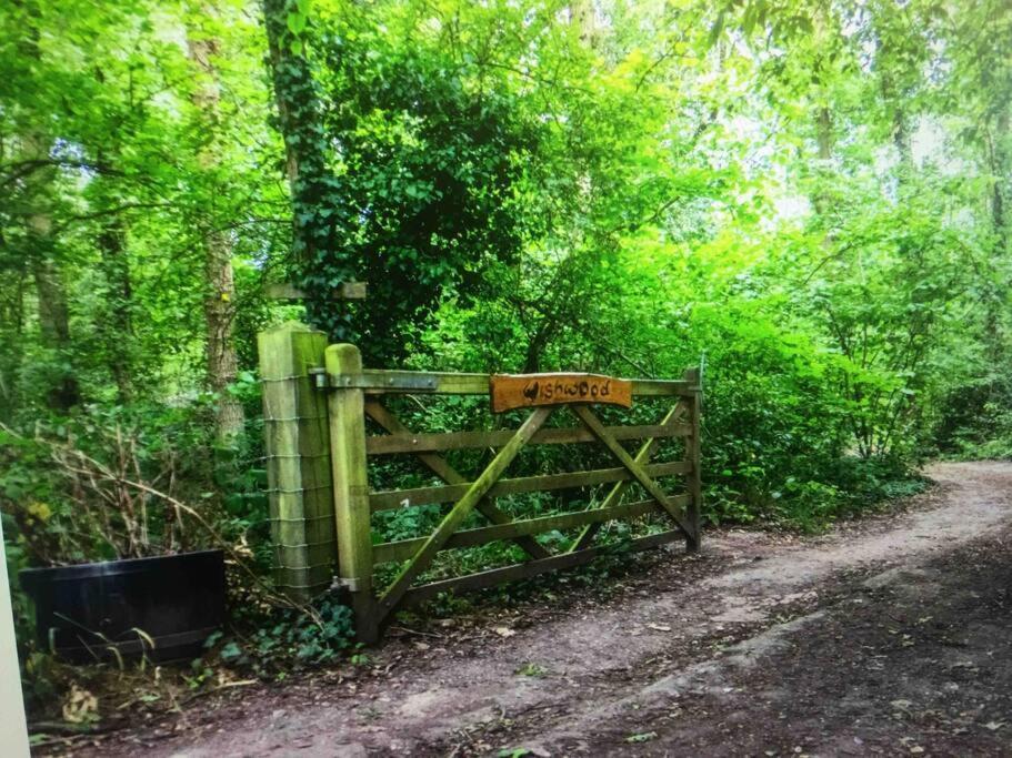 Cosy Woodland Romantic Retreat With Log Fires And Nature Sturry Eksteriør bilde