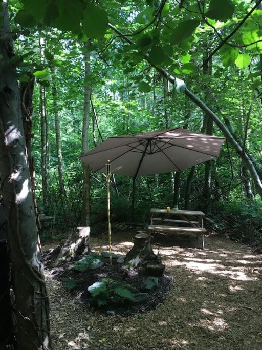Cosy Woodland Romantic Retreat With Log Fires And Nature Sturry Eksteriør bilde