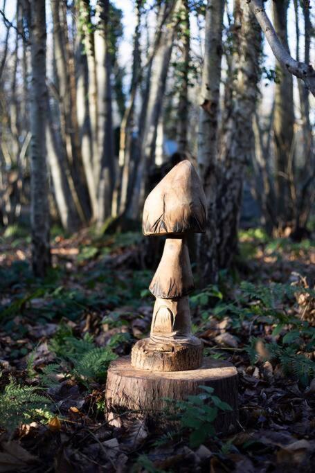 Cosy Woodland Romantic Retreat With Log Fires And Nature Sturry Eksteriør bilde