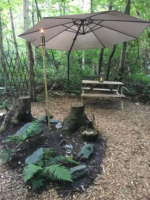 Cosy Woodland Romantic Retreat With Log Fires And Nature Sturry Eksteriør bilde