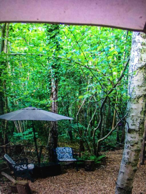 Cosy Woodland Romantic Retreat With Log Fires And Nature Sturry Eksteriør bilde
