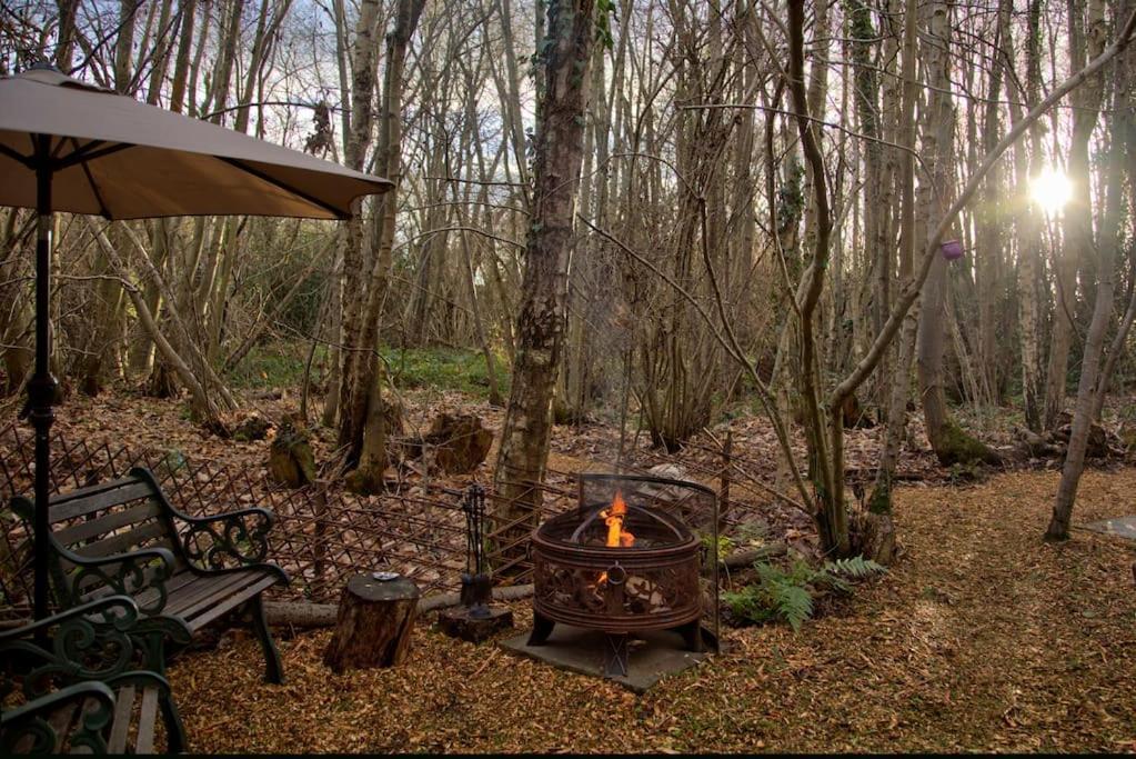 Cosy Woodland Romantic Retreat With Log Fires And Nature Sturry Eksteriør bilde